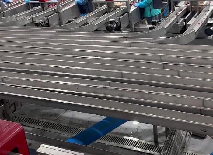 Used Red Pearl 360 Cherry Processing Machine