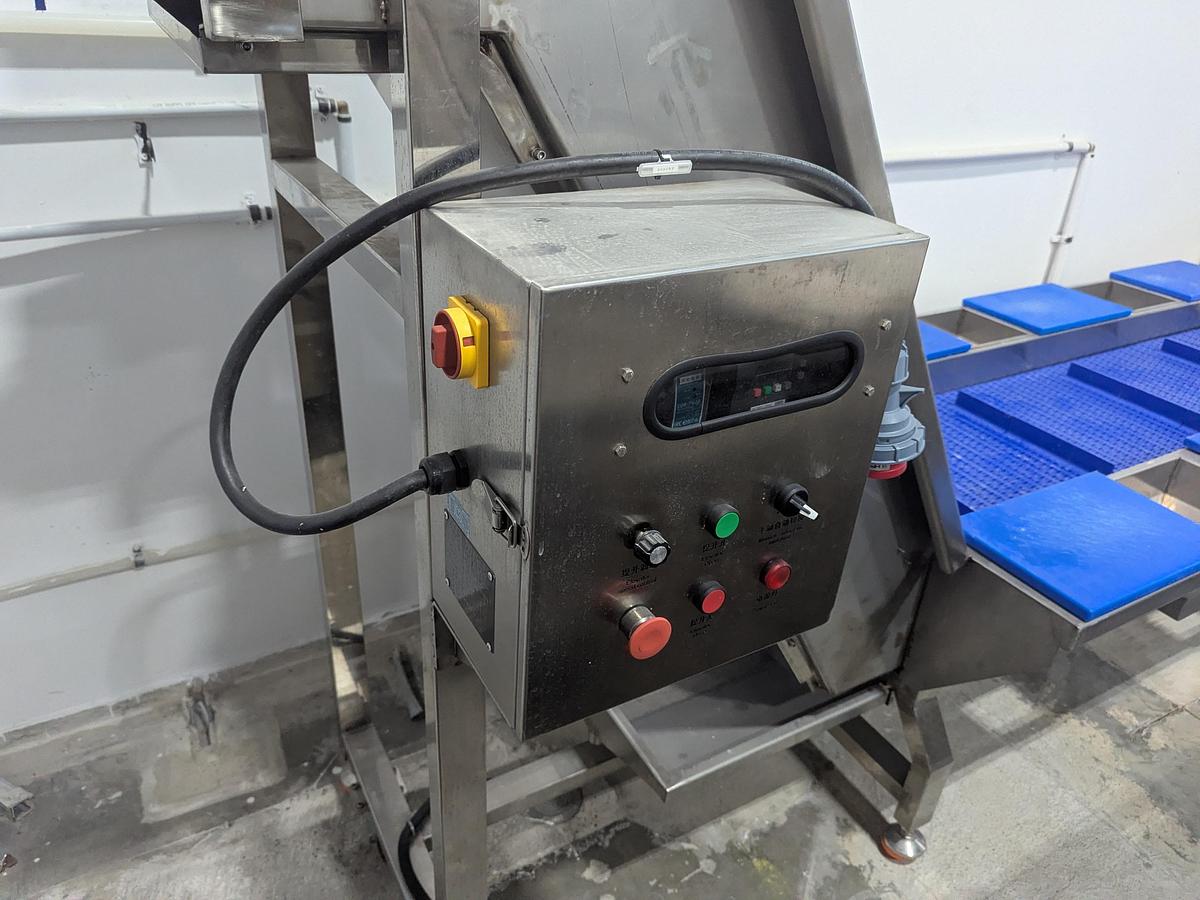 Used Incline Conveyor with Sort Stations