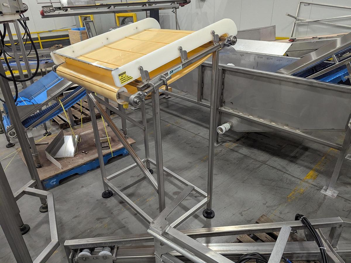 Used Short Transfer Conveyor