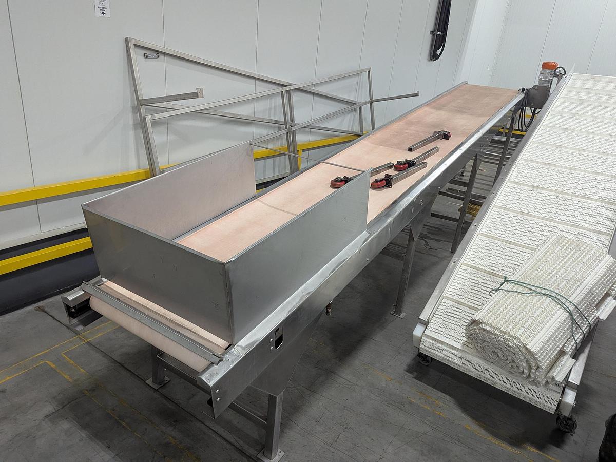 Used Inclined Grading Conveyor