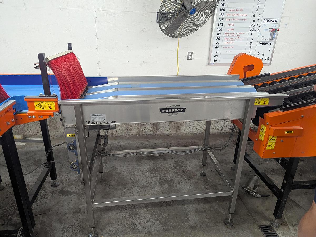 Used Van Wamel Tree Fruit Sorting and Packing Line
