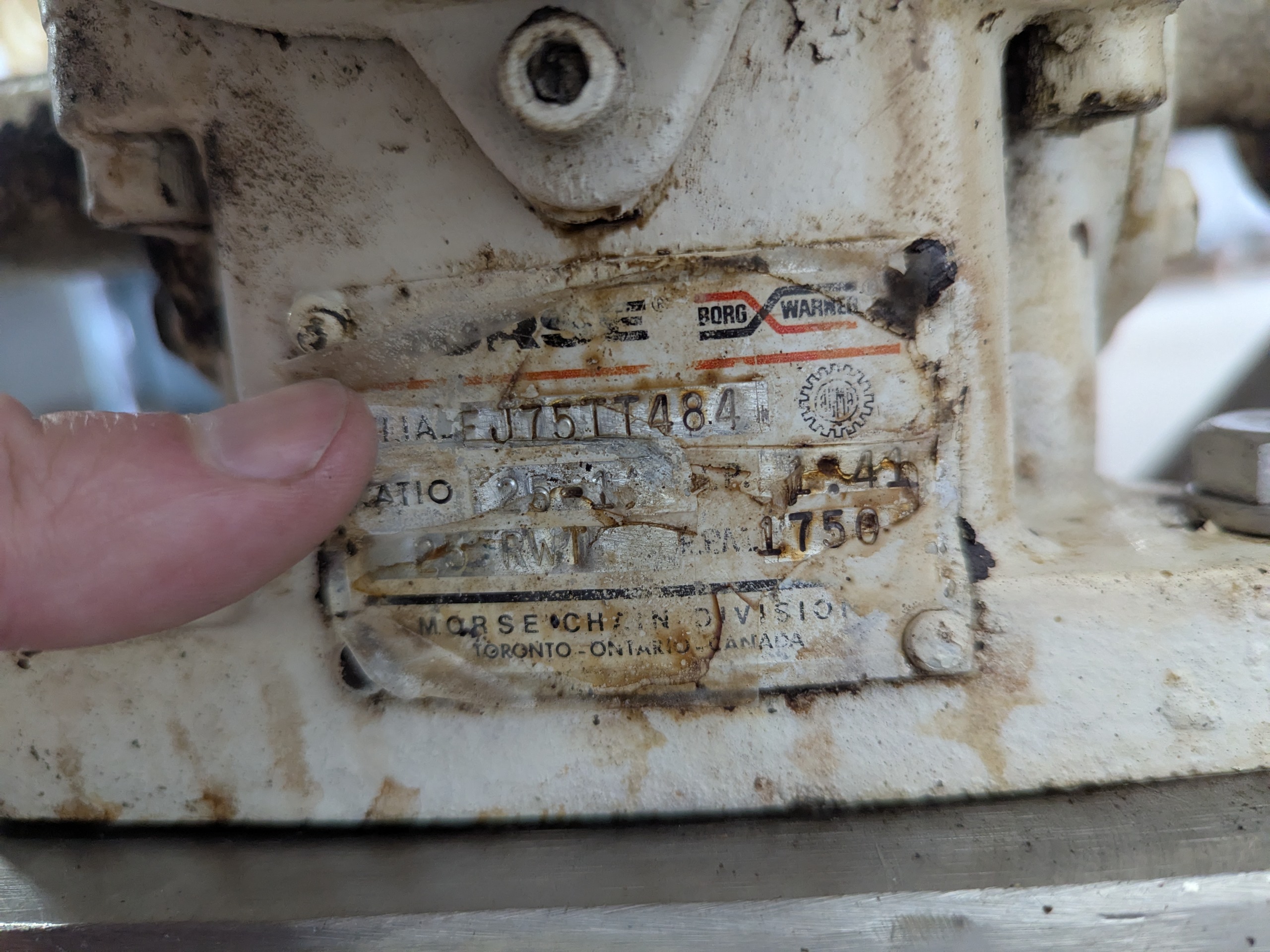 Used SS Hopper with Auger