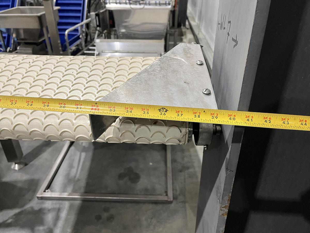 Used Scalloped Belt Incline Conveyor with Hopper