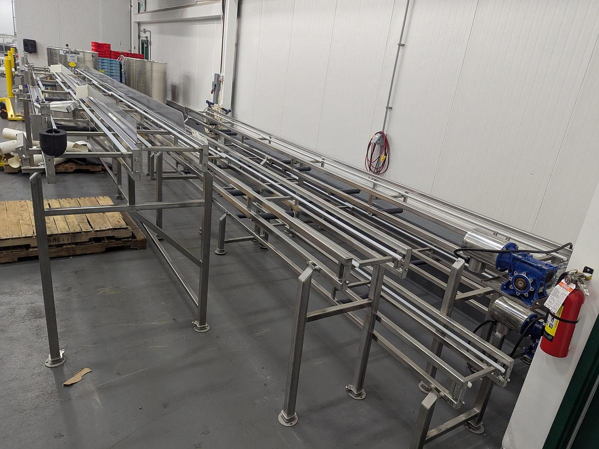 Used Apple Infeed Conveyor System