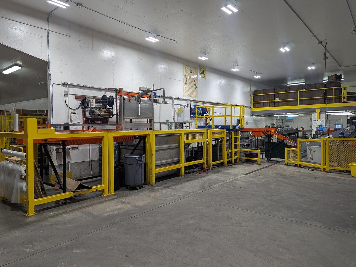 Used Van Wamel Tree Fruit Sorting and Packing Line