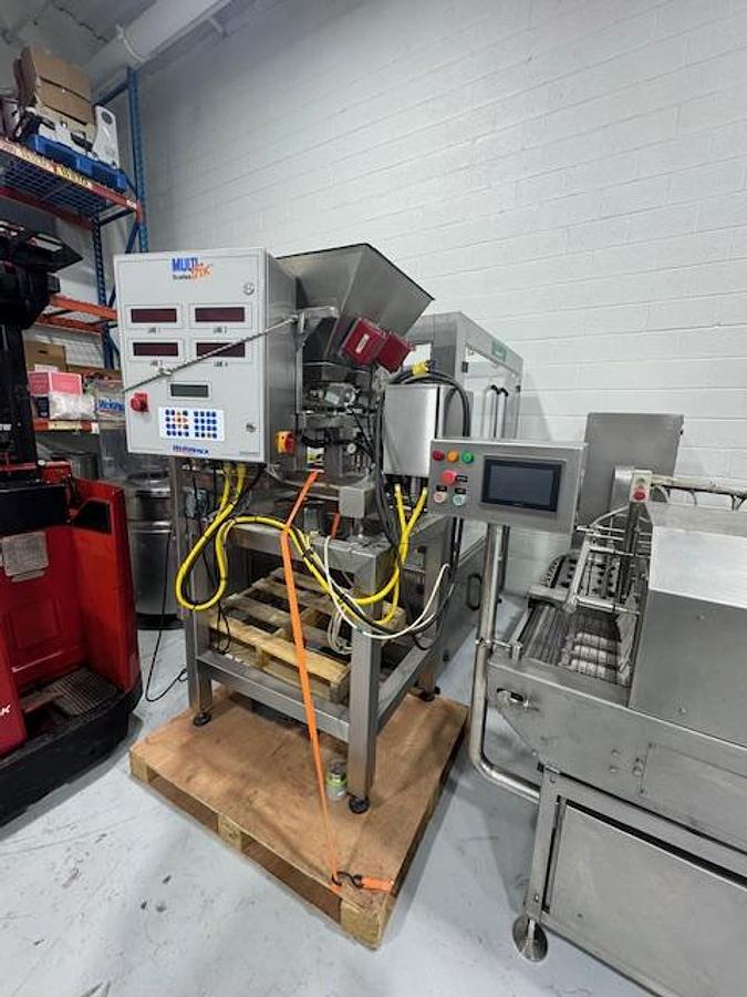 Used Dual Lane Weigh Scale