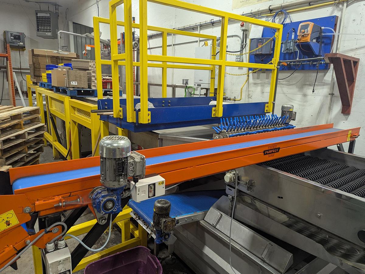 Used Van Wamel Tree Fruit Sorting and Packing Line