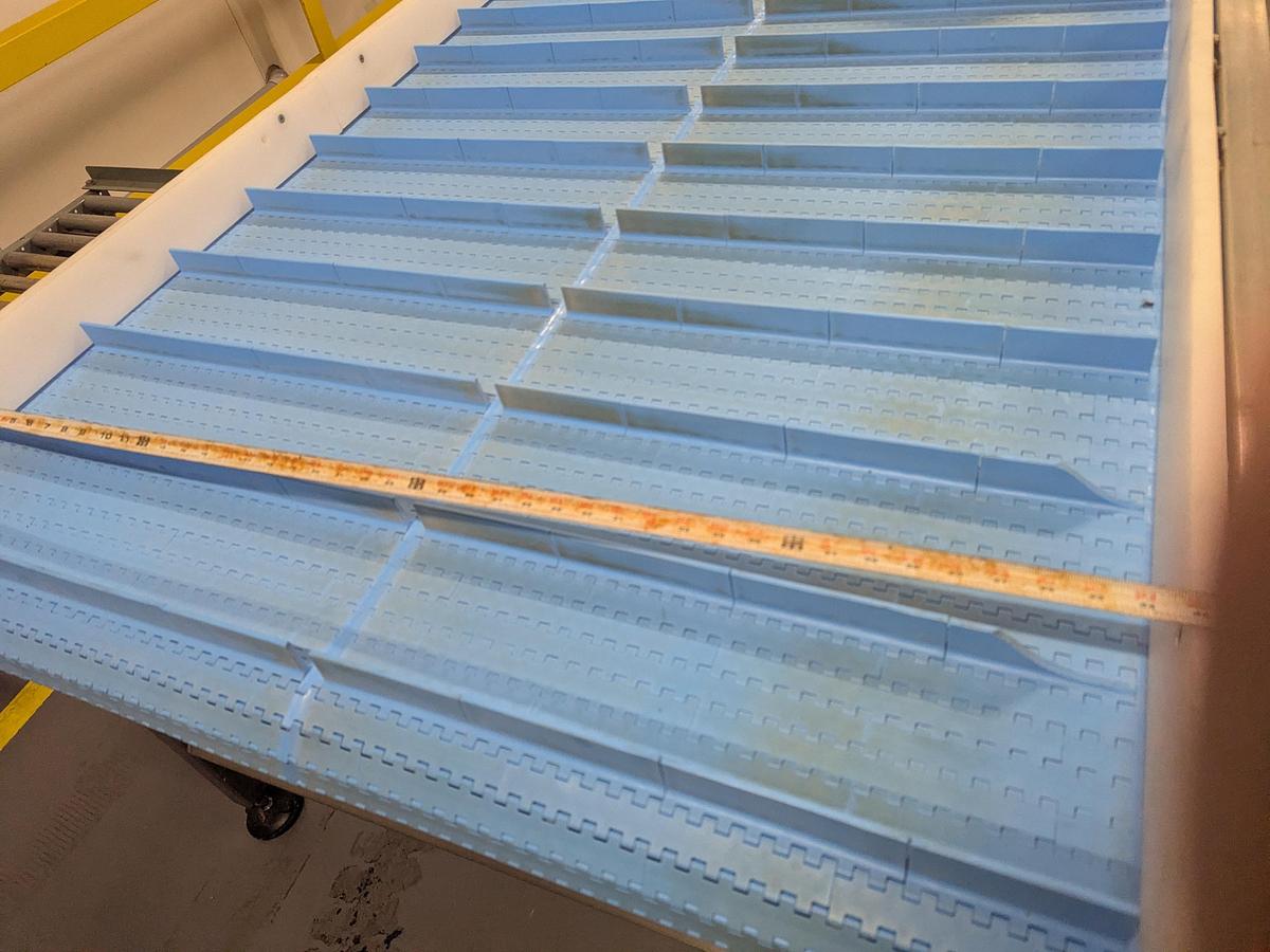 Used  Incline Cleated Conveyor