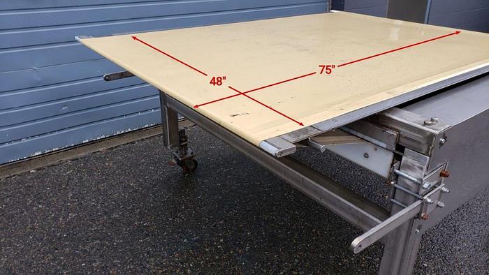 Used 6' L x 4' W Flat Belt Conveyor