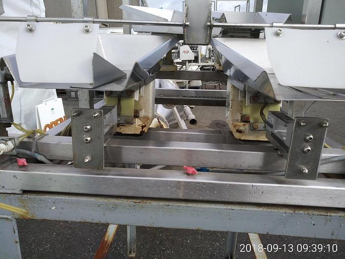 Used Dual Lane Feeder