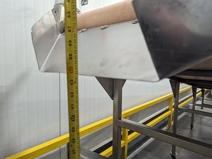 Used Berry Grading Conveyor