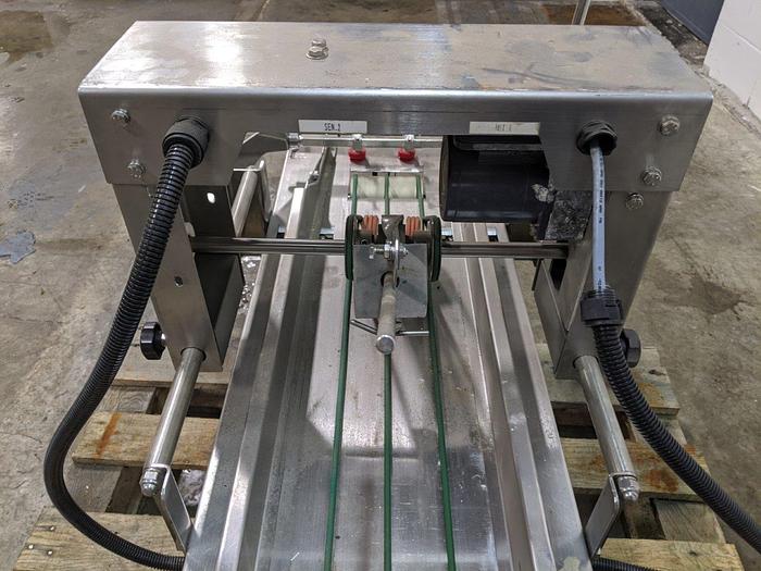 Used Infeed Conveyor for Pouch Filler