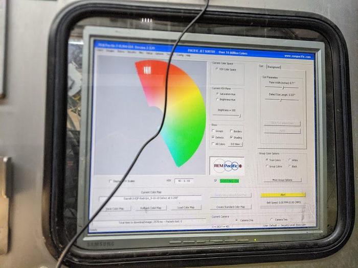 Used REM Pacific JET Optical Berry Sorter