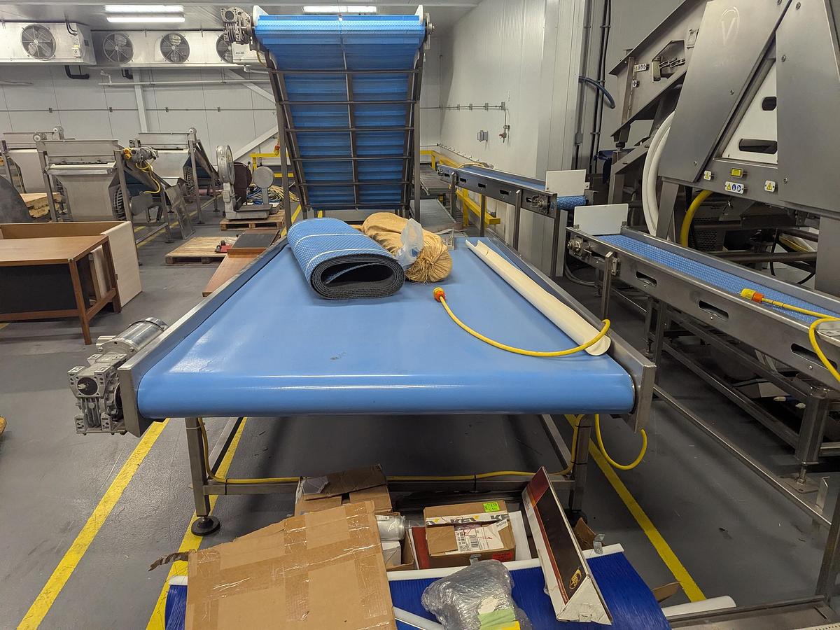 Used 64''W Sorting Conveyor