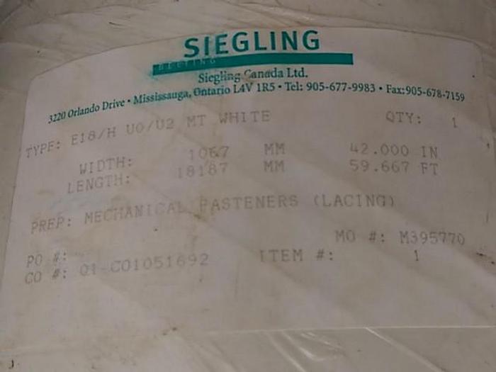 White 42” Conveyor Belt