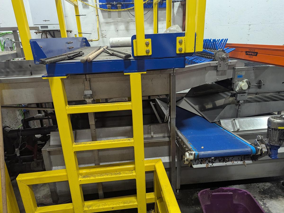 Used Van Wamel Tree Fruit Sorting and Packing Line