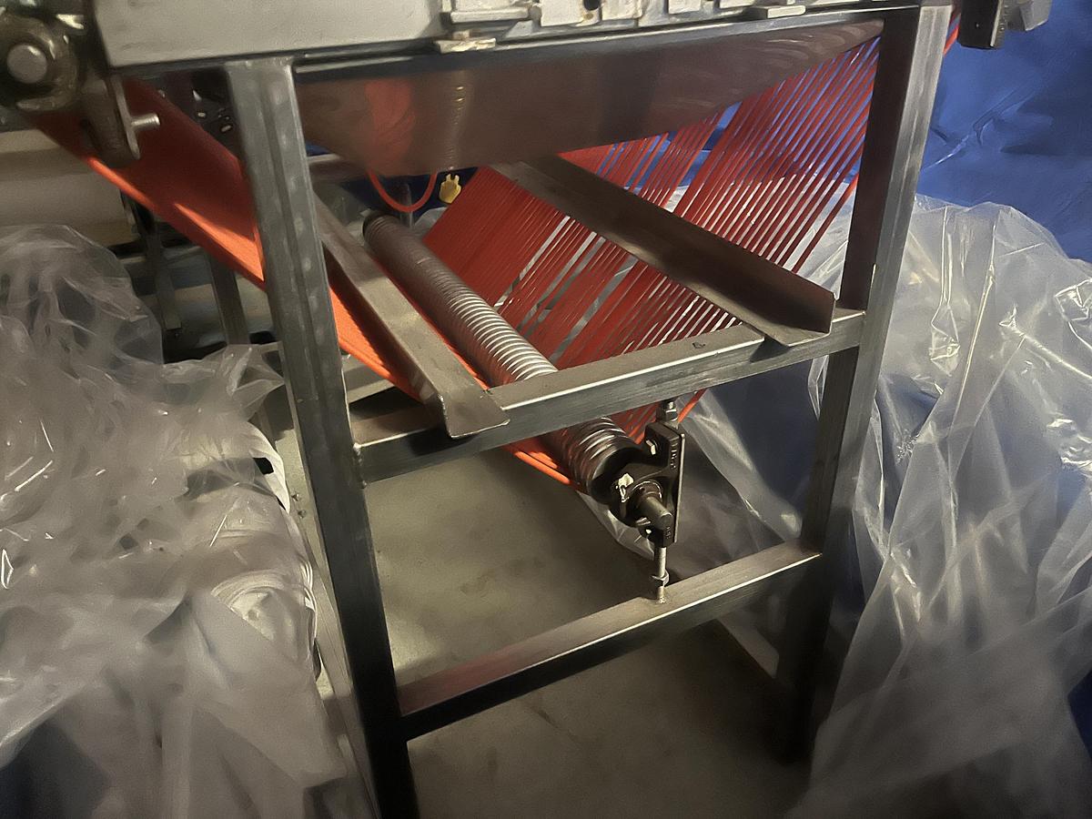 Used Berry Sizing Conveyor