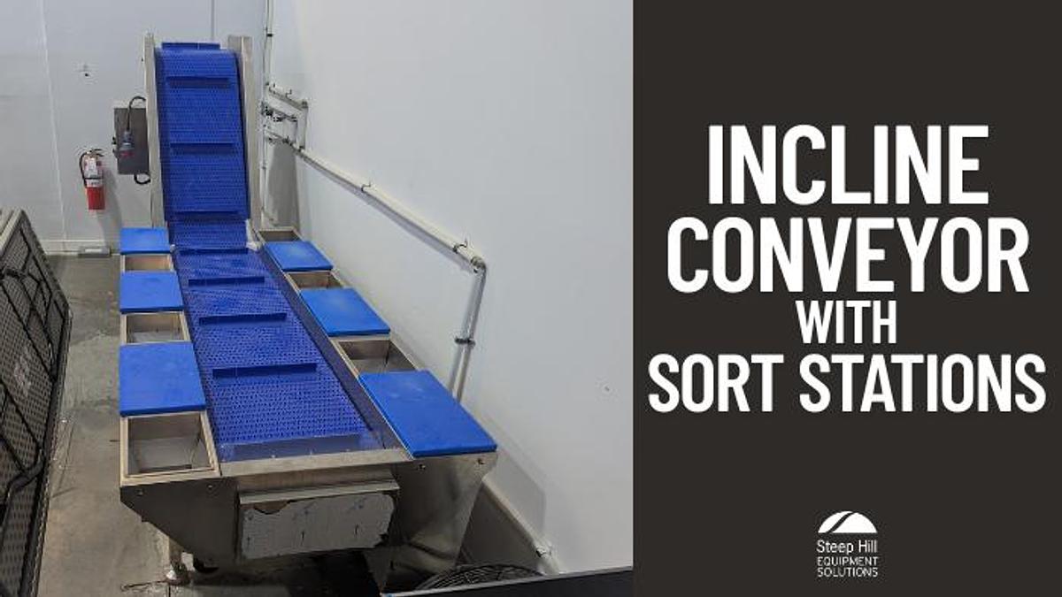 Used Incline Conveyor with Sort Stations