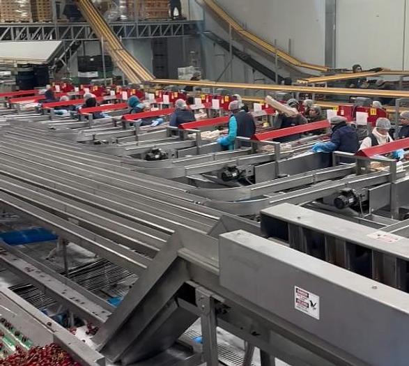 Used Red Pearl 360 Cherry Processing Machine