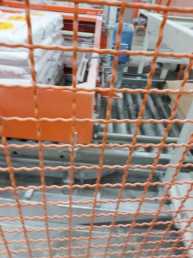 Used Paglierani Automatic Palletizer