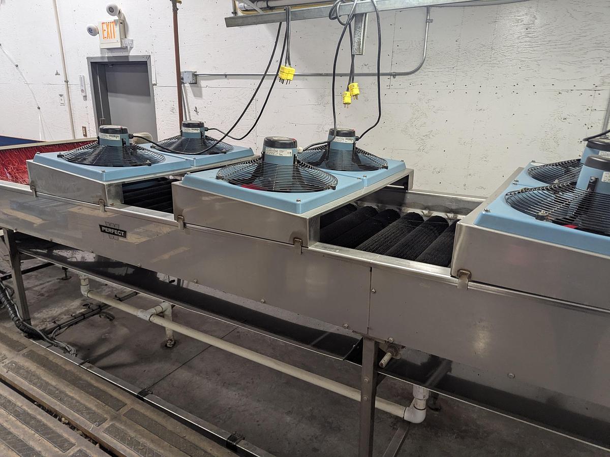 Used Van Wamel Tree Fruit Sorting and Packing Line