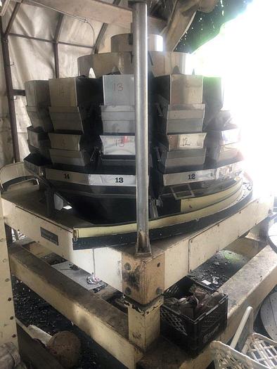 Used HAYSSEN-Yamato Dataweigh 14-Head Scales