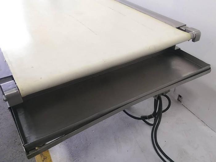 Used 10' Sorting Conveyor