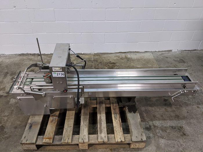 Used Infeed Conveyor for Pouch Filler