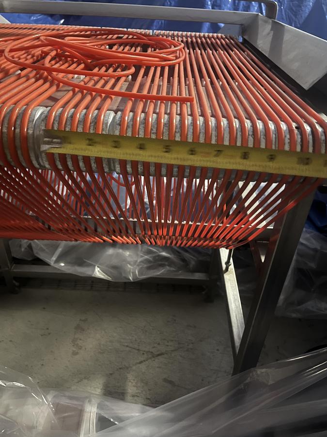 Used Berry Sizing Conveyor