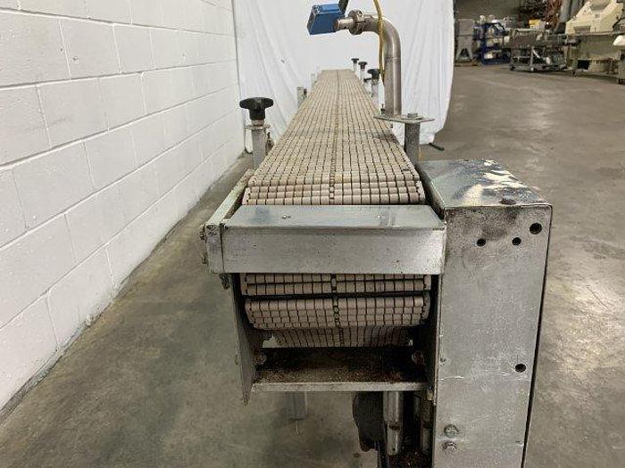 Used Benchmark LPB Roller Chain Conveyor