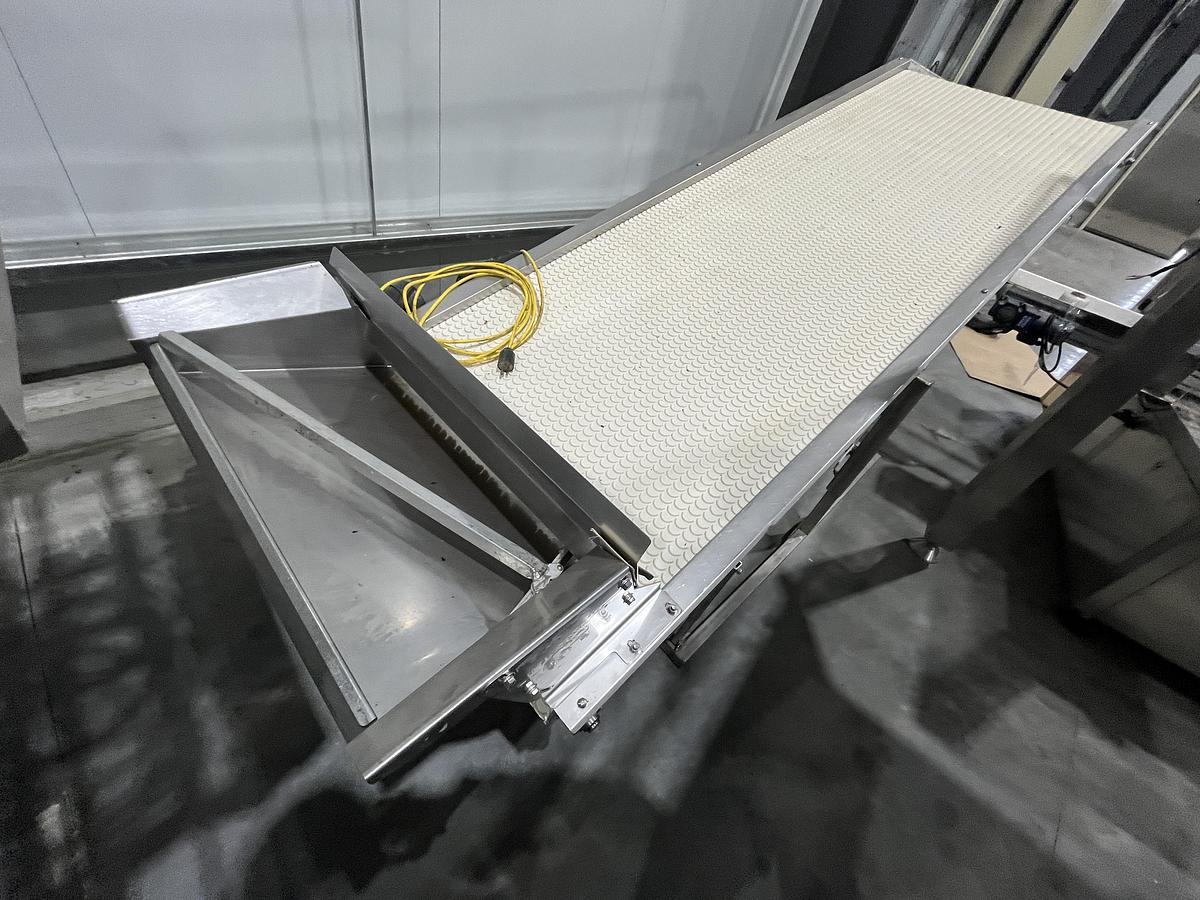 Used Scalloped Belt Incline Conveyor with Hopper