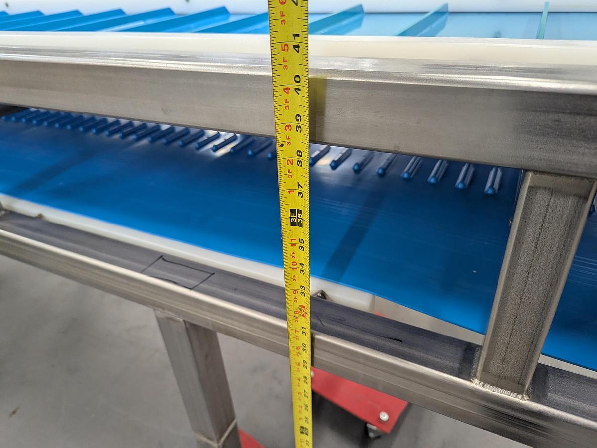 Used Infeed Dog Leg Conveyor