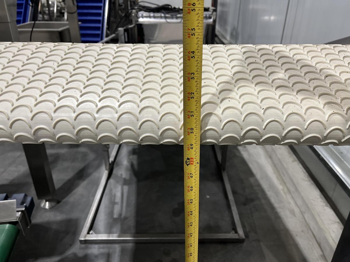 Used Scalloped Belt Incline Conveyor with Hopper