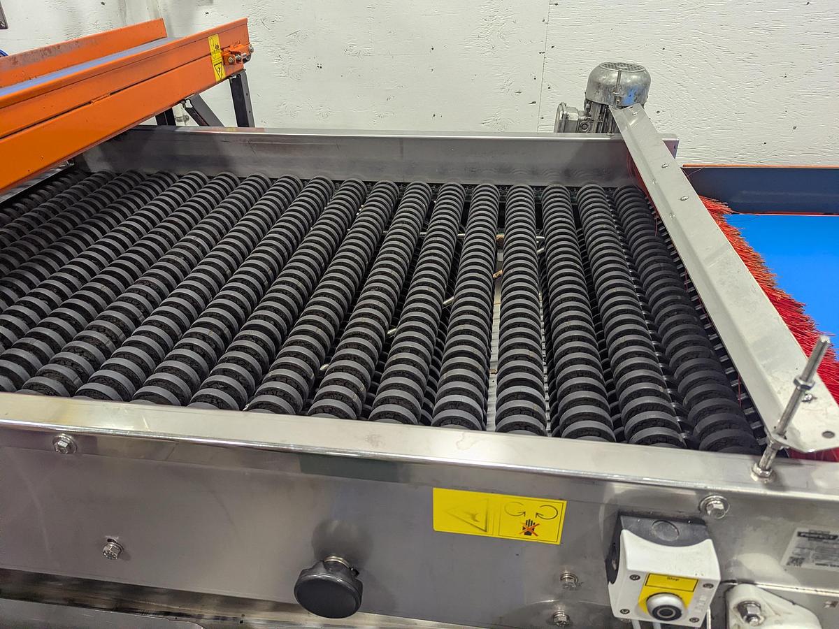Used Van Wamel Tree Fruit Sorting and Packing Line