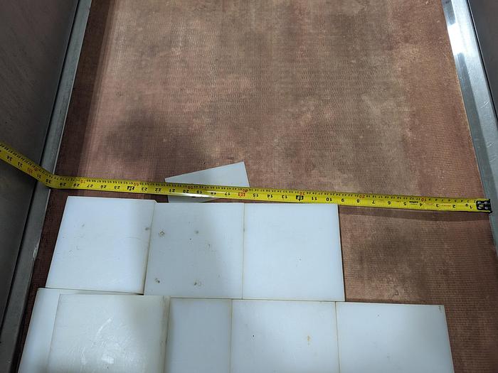 Used Berry Grading Conveyor