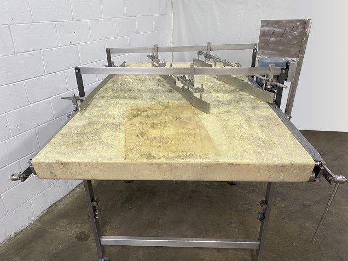 Used SIG-Transver 6' Sorting Conveyor