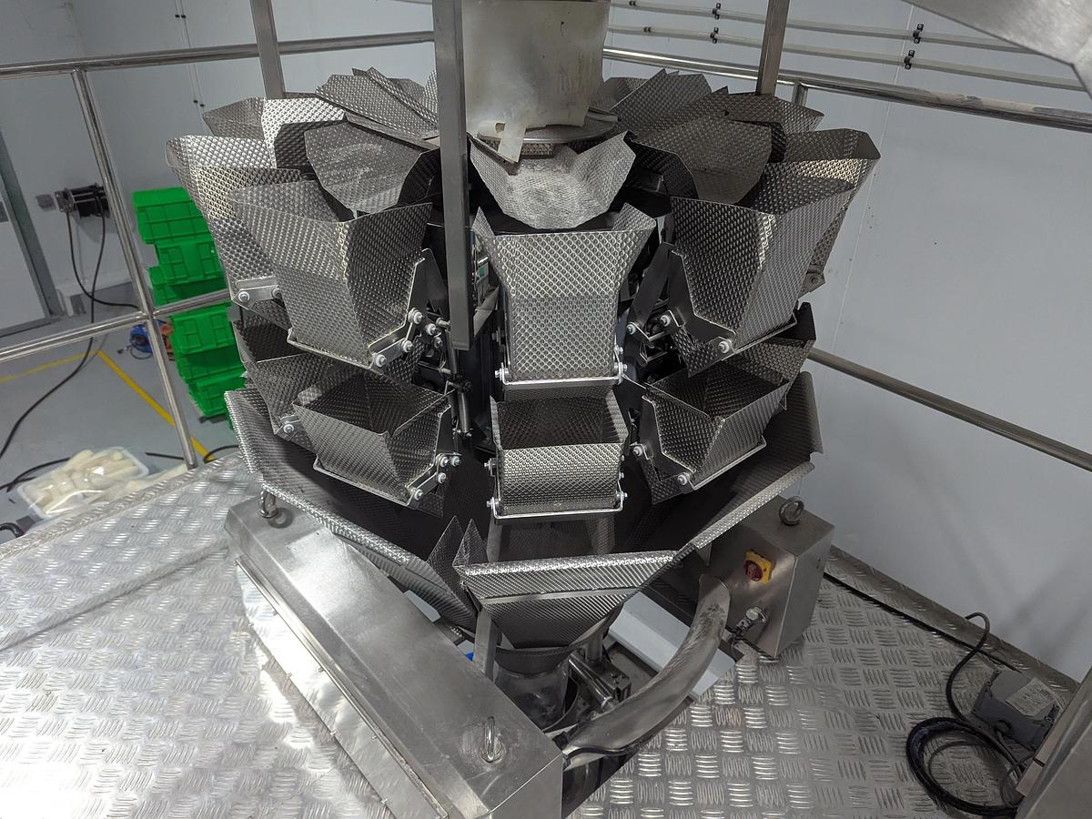 Used 10-Head Scale Bagger System with Infeed Conveyor 