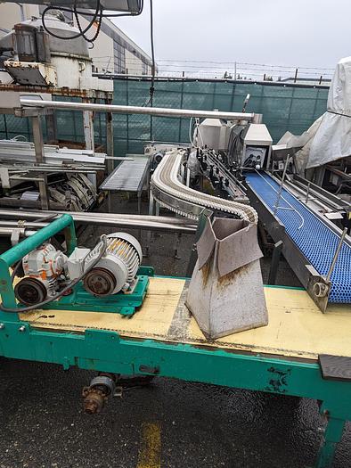 Used Pumpkin Squash Inspection & Cleaning Line