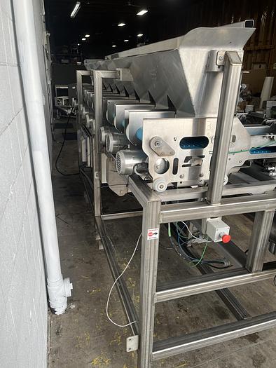 Used Andgar 10-Lane Berry Filler