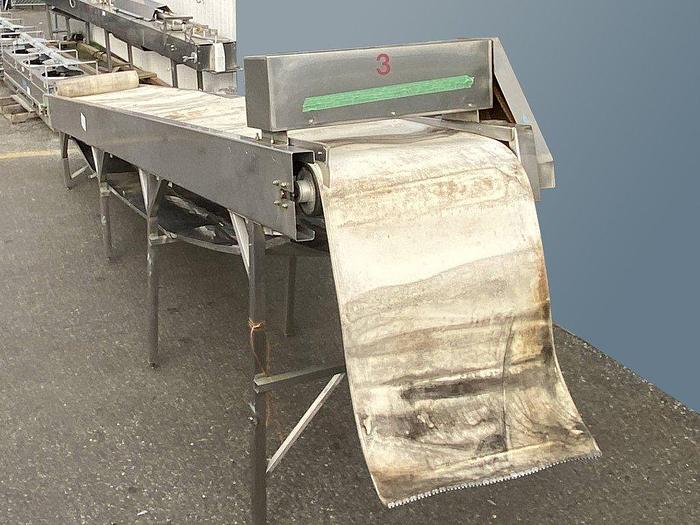 Used Incline Berry Inspection Conveyor