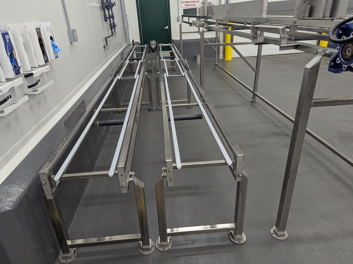 Used Apple Infeed Conveyor System