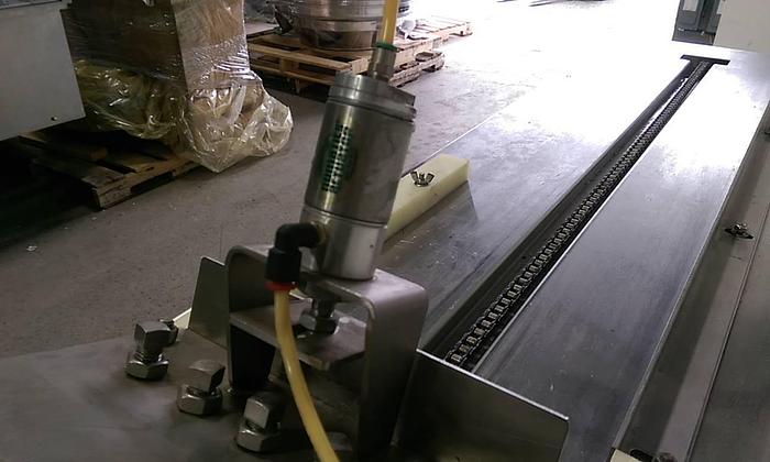 Used Custom Meat Extruder