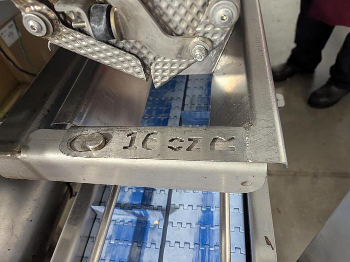 Used Andgar 10 Lane Berry Filler