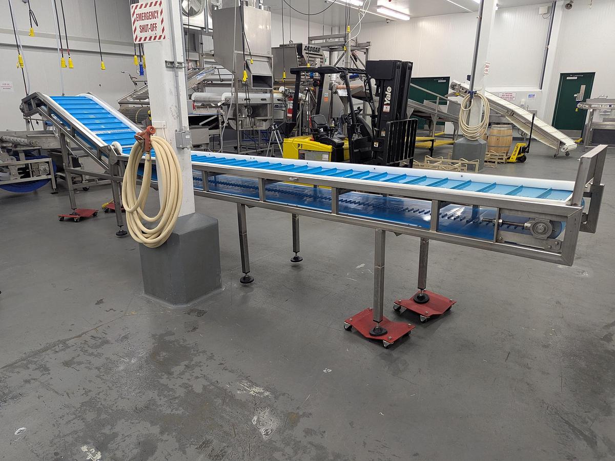Used Infeed Dog Leg Conveyor