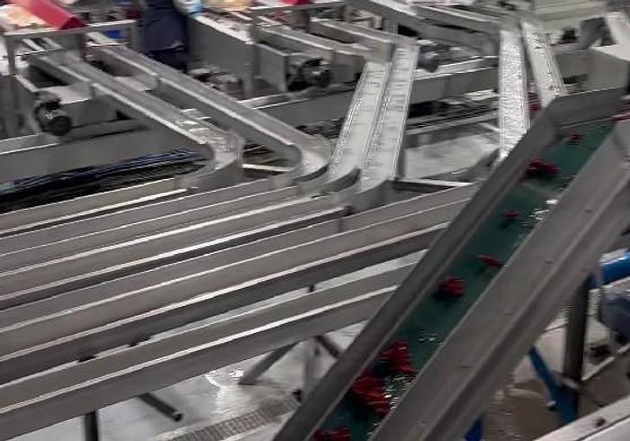 Used Red Pearl 360 Cherry Processing Machine