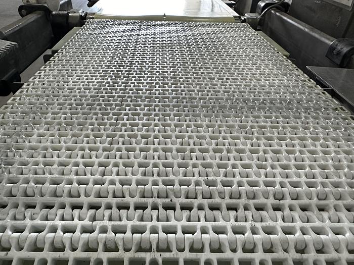 Used Mettler-Toledo Checkweigher BELTWEIGH/MM