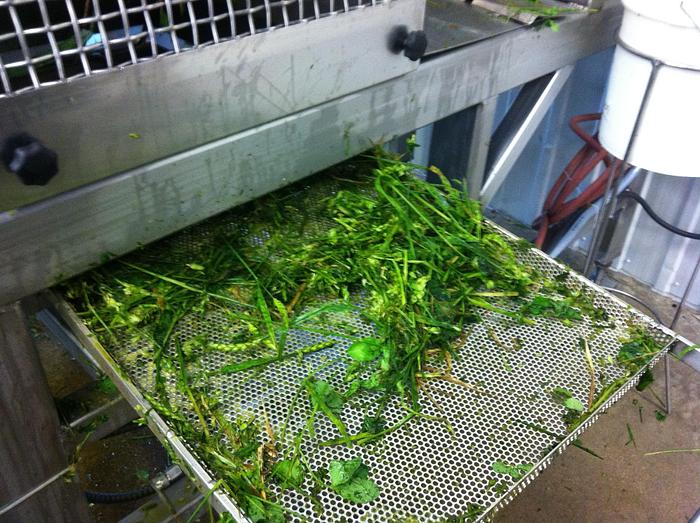 Used Wheatgrass Roller Juicer