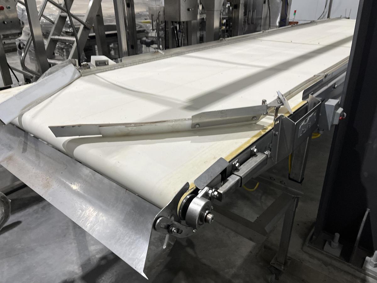 Used 19ft Inspection Conveyor