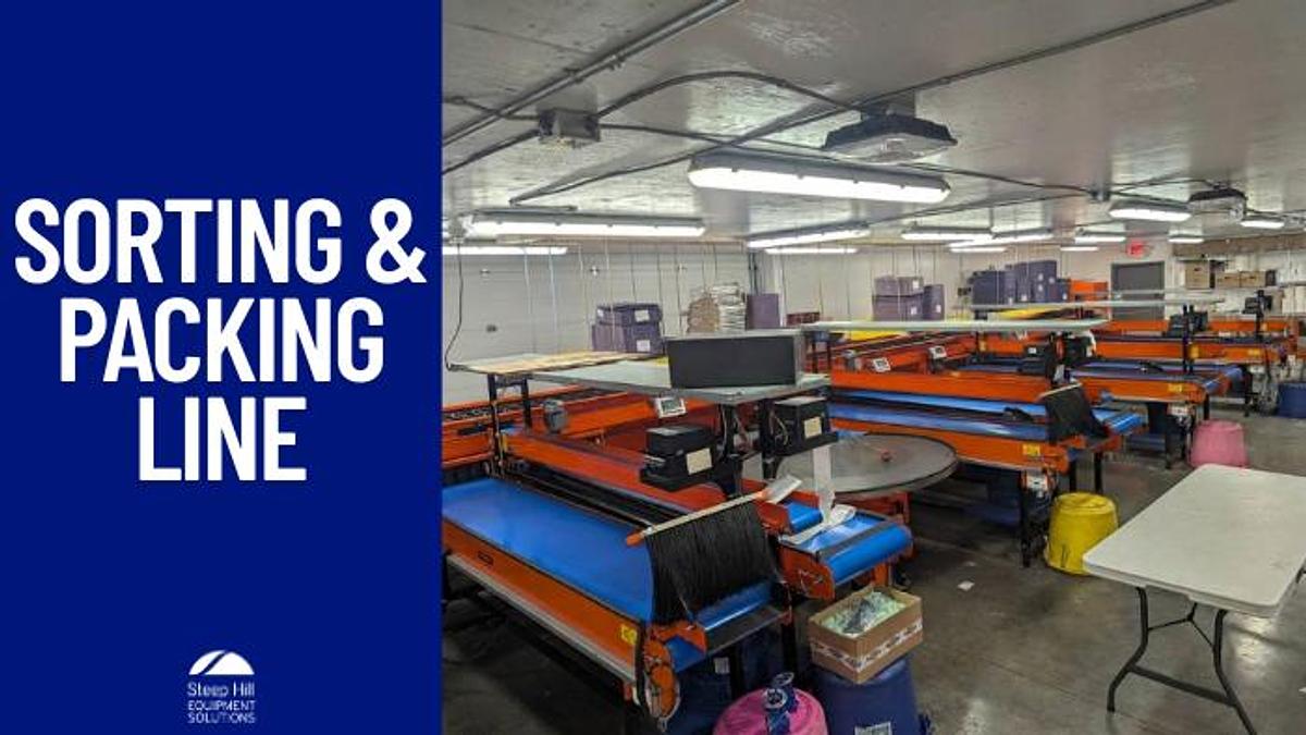 Used Van Wamel Tree Fruit Sorting and Packing Line