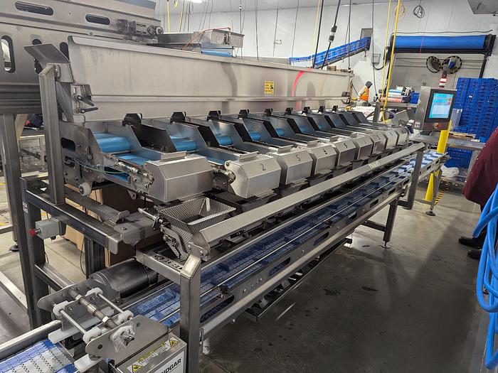 Used Andgar 10 Lane Berry Filler